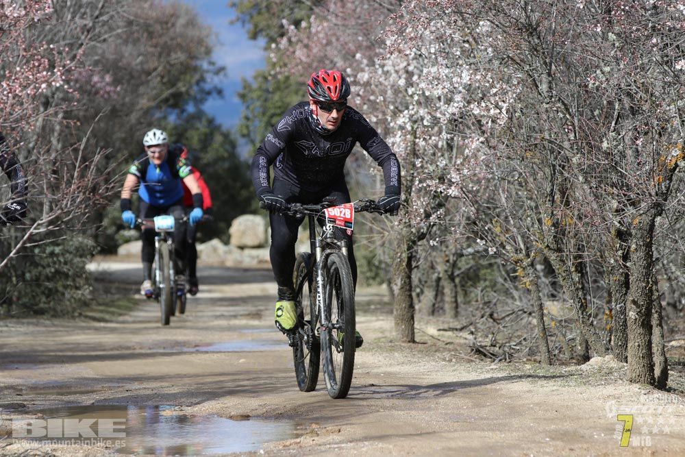 Ruta de la miel. Colmenarejo. Circuito Scott 7 Estrellas 2018. Galería 2