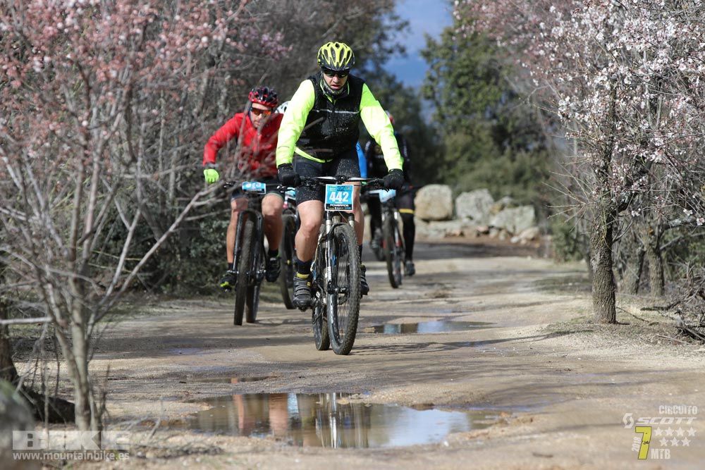 Ruta de la miel. Colmenarejo. Circuito Scott 7 Estrellas 2018. Galería 2
