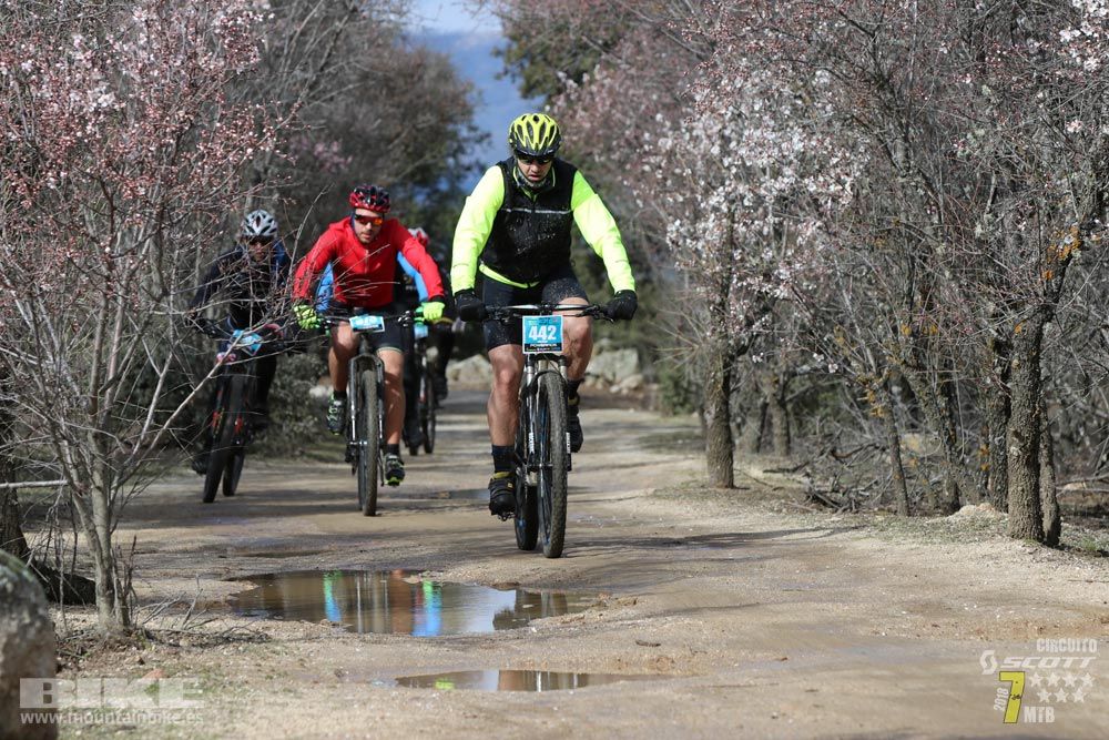 Ruta de la miel. Colmenarejo. Circuito Scott 7 Estrellas 2018. Galería 2