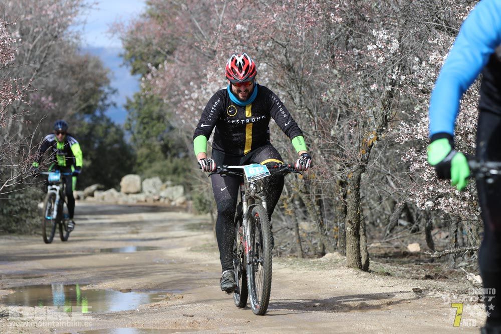 Ruta de la miel. Colmenarejo. Circuito Scott 7 Estrellas 2018. Galería 2