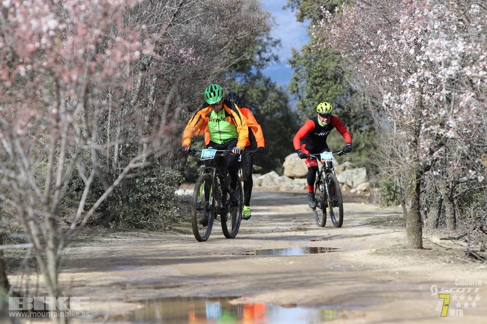 Ruta de la miel. Colmenarejo. Circuito Scott 7 Estrellas 2018. Galería 2
