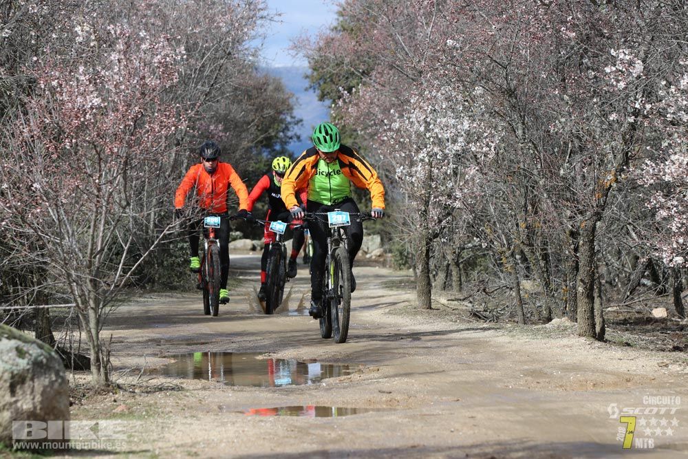 Ruta de la miel. Colmenarejo. Circuito Scott 7 Estrellas 2018. Galería 2