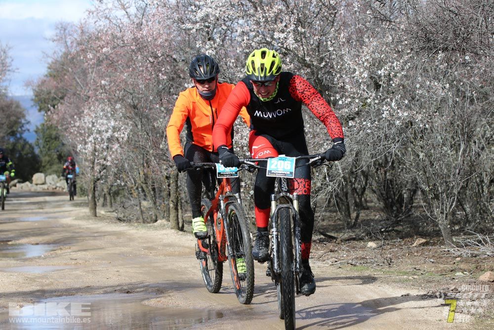 Ruta de la miel. Colmenarejo. Circuito Scott 7 Estrellas 2018. Galería 2