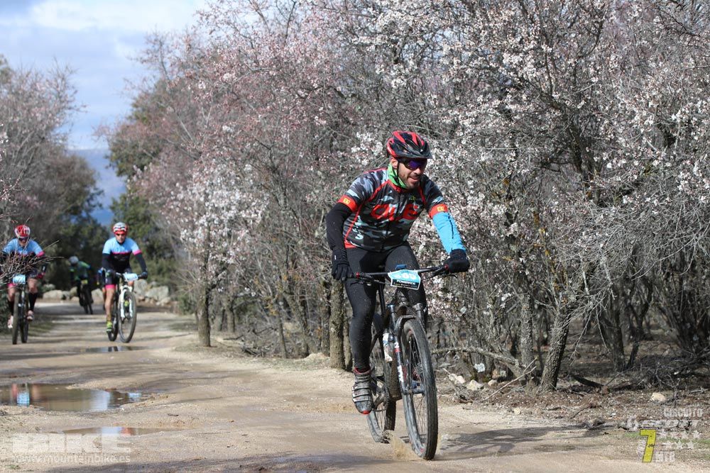 Ruta de la miel. Colmenarejo. Circuito Scott 7 Estrellas 2018. Galería 2
