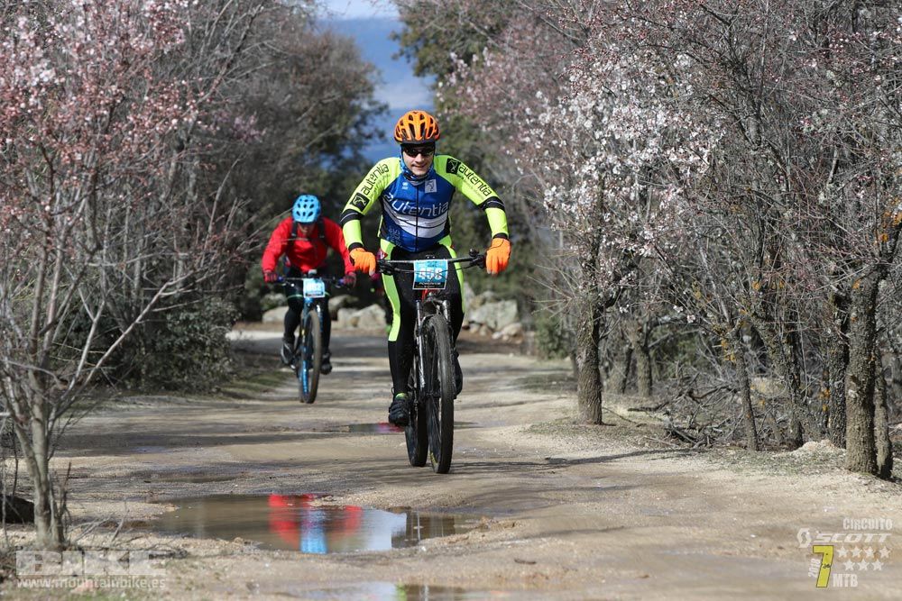 Ruta de la miel. Colmenarejo. Circuito Scott 7 Estrellas 2018. Galería 2