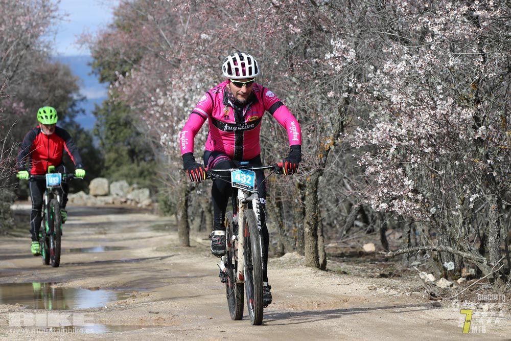Ruta de la miel. Colmenarejo. Circuito Scott 7 Estrellas 2018. Galería 2