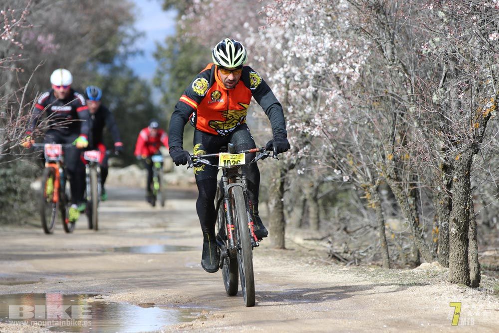 Ruta de la miel. Colmenarejo. Circuito Scott 7 Estrellas 2018. Galería 3