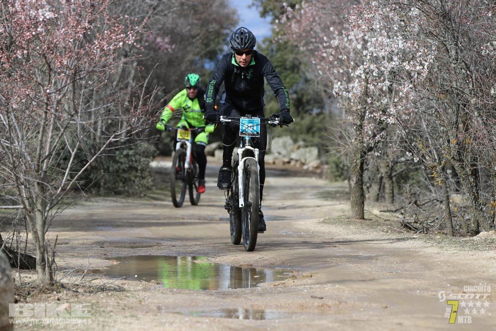 Ruta de la miel. Colmenarejo. Circuito Scott 7 Estrellas 2018. Galería 3