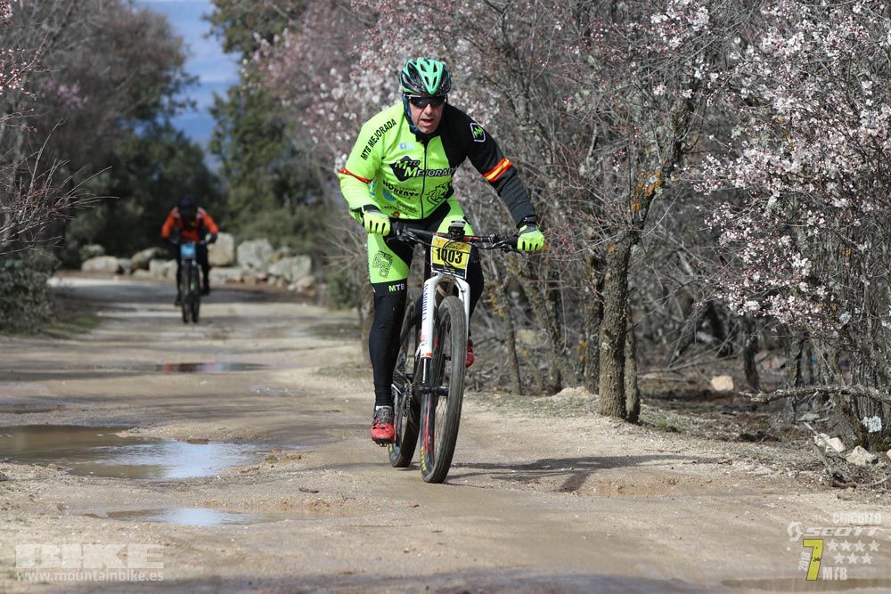 Ruta de la miel. Colmenarejo. Circuito Scott 7 Estrellas 2018. Galería 3