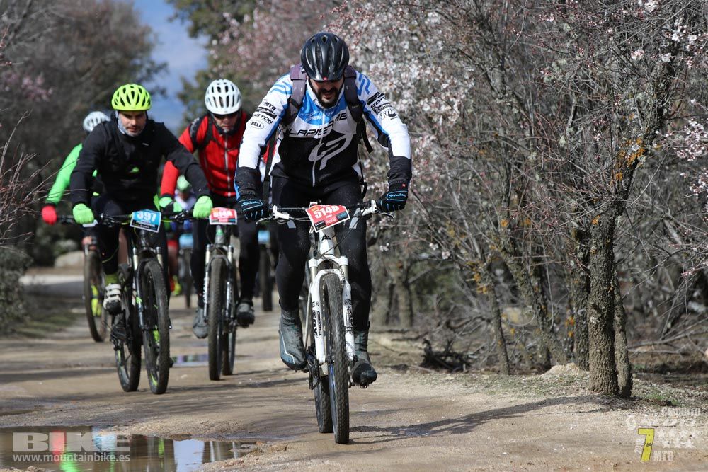 Ruta de la miel. Colmenarejo. Circuito Scott 7 Estrellas 2018. Galería 3