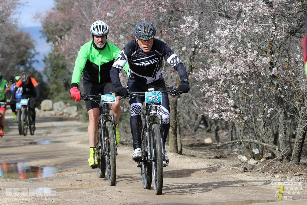 Ruta de la miel. Colmenarejo. Circuito Scott 7 Estrellas 2018. Galería 3