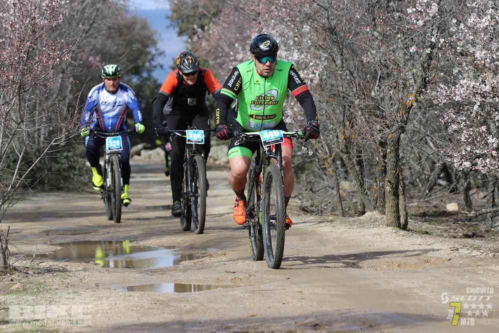 Ruta de la miel. Colmenarejo. Circuito Scott 7 Estrellas 2018. Galería 3
