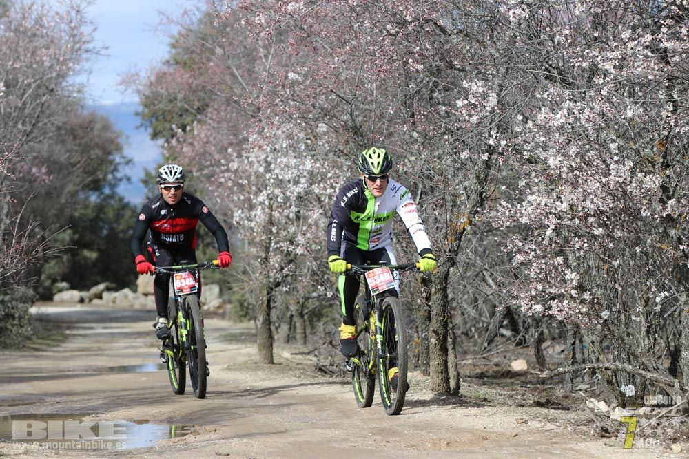 Ruta de la miel. Colmenarejo. Circuito Scott 7 Estrellas 2018. Galería 3