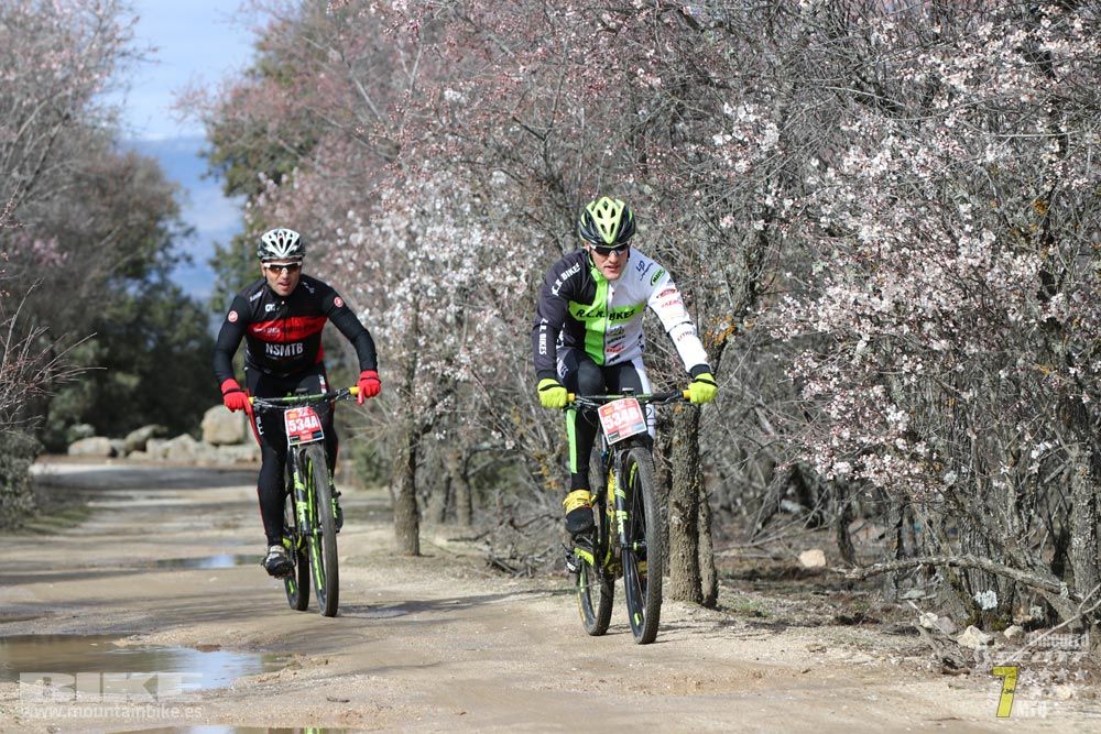 Ruta de la miel. Colmenarejo. Circuito Scott 7 Estrellas 2018. Galería 3
