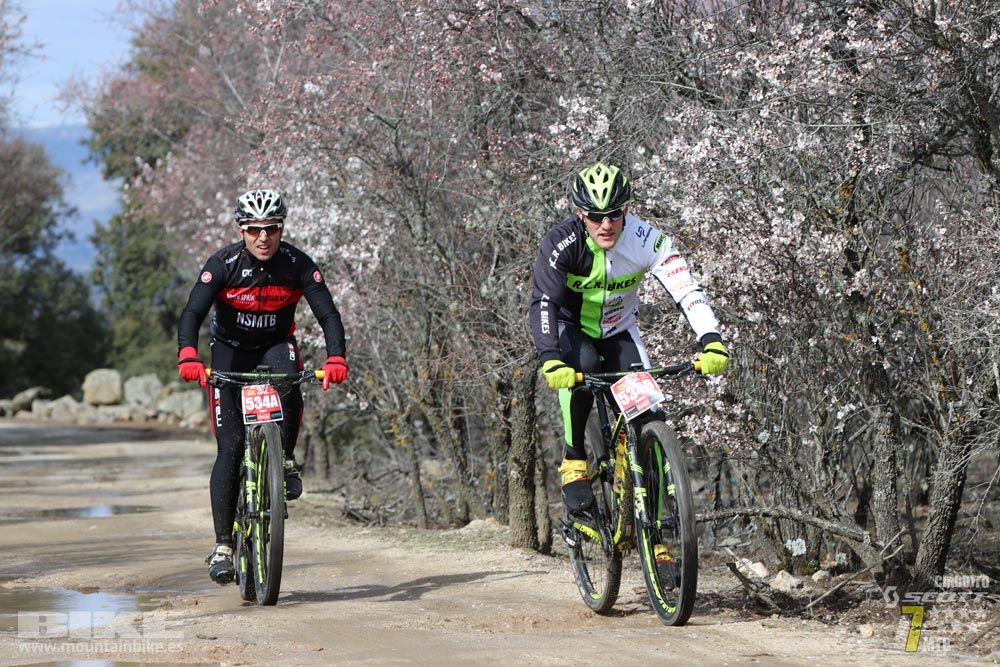 Ruta de la miel. Colmenarejo. Circuito Scott 7 Estrellas 2018. Galería 3