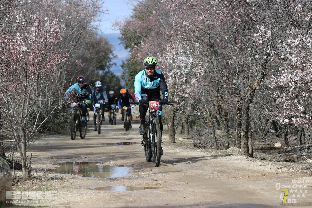 Ruta de la miel. Colmenarejo. Circuito Scott 7 Estrellas 2018. Galería 3
