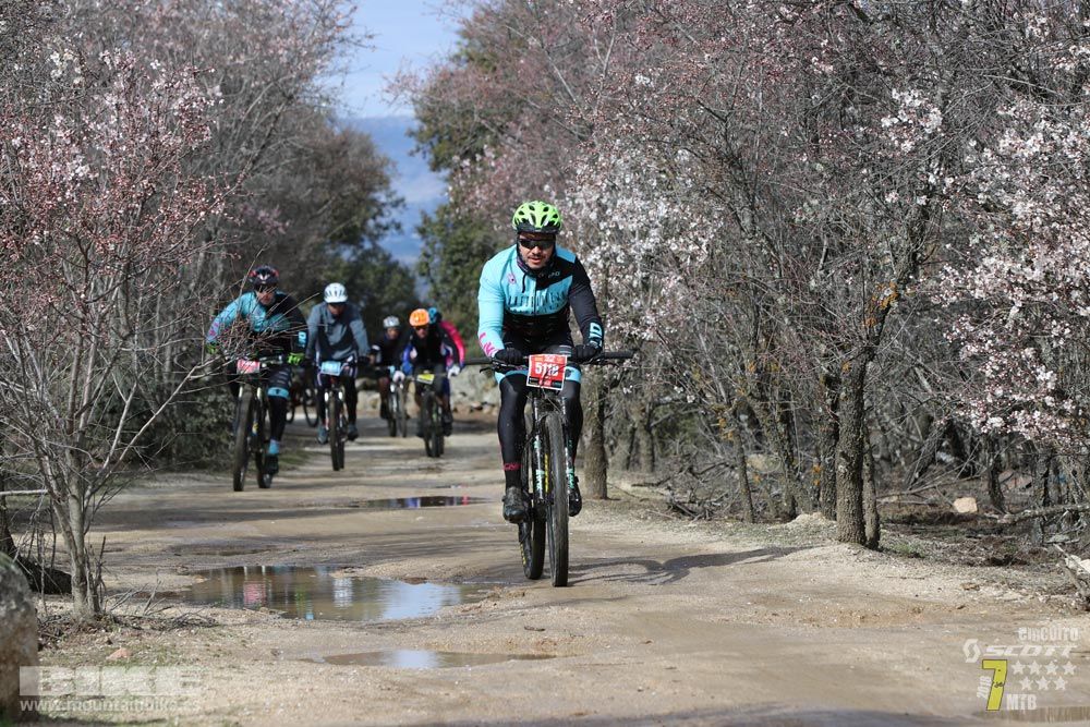 Ruta de la miel. Colmenarejo. Circuito Scott 7 Estrellas 2018. Galería 3