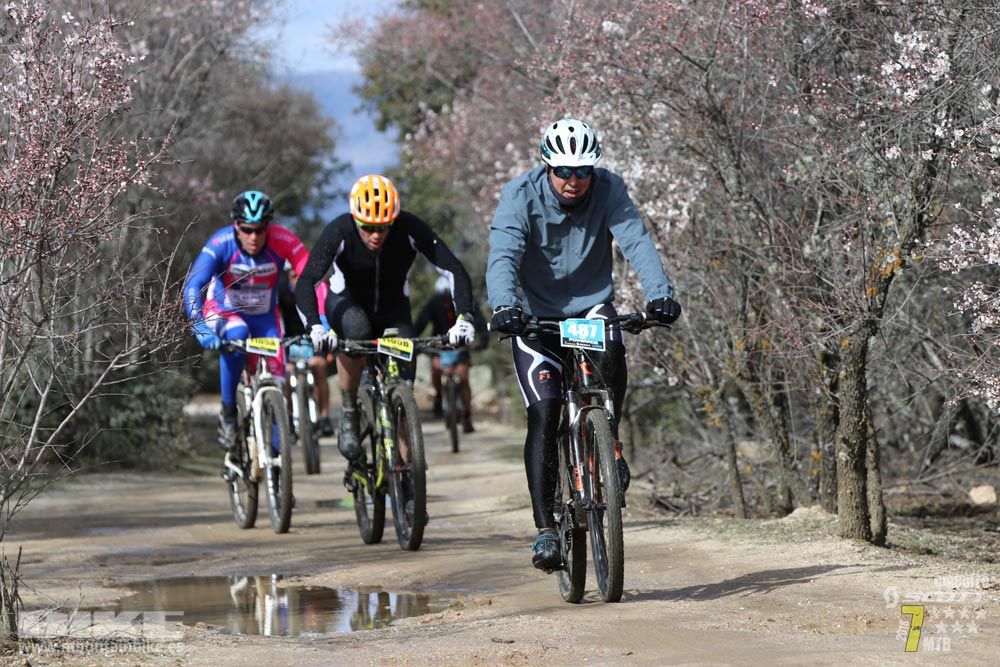 Ruta de la miel. Colmenarejo. Circuito Scott 7 Estrellas 2018. Galería 3