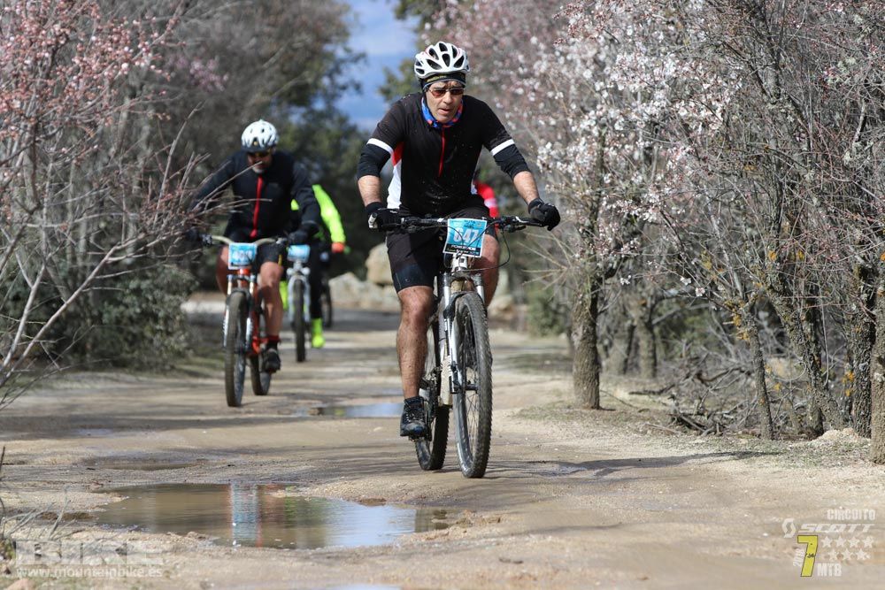 Ruta de la miel. Colmenarejo. Circuito Scott 7 Estrellas 2018. Galería 3