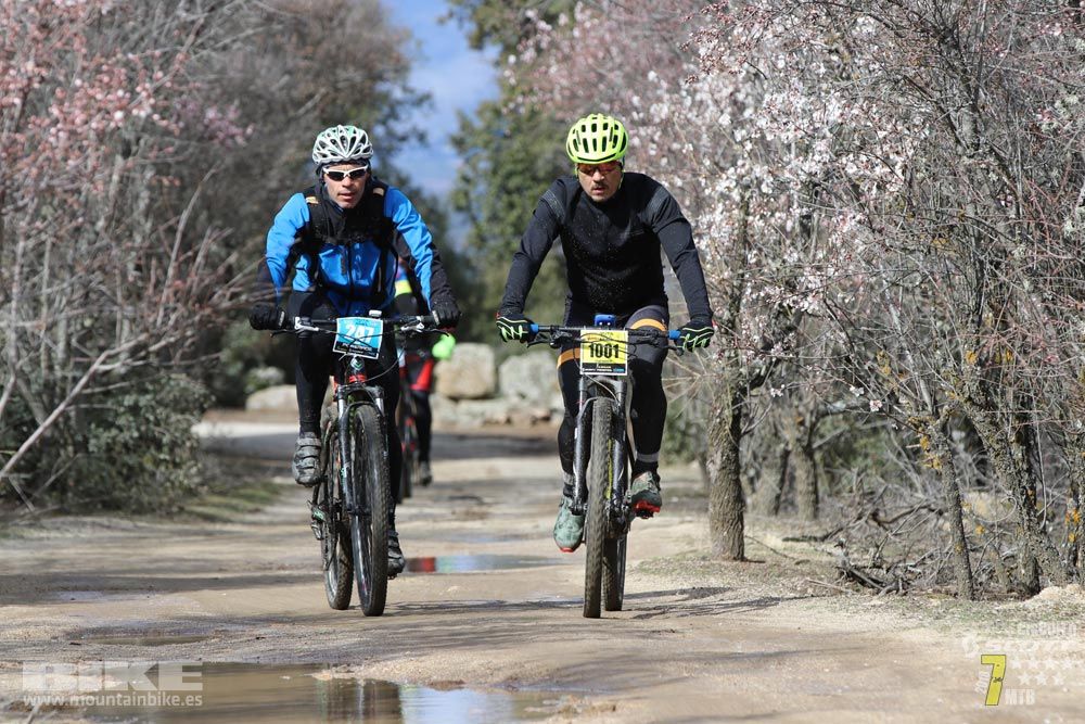 Ruta de la miel. Colmenarejo. Circuito Scott 7 Estrellas 2018. Galería 3