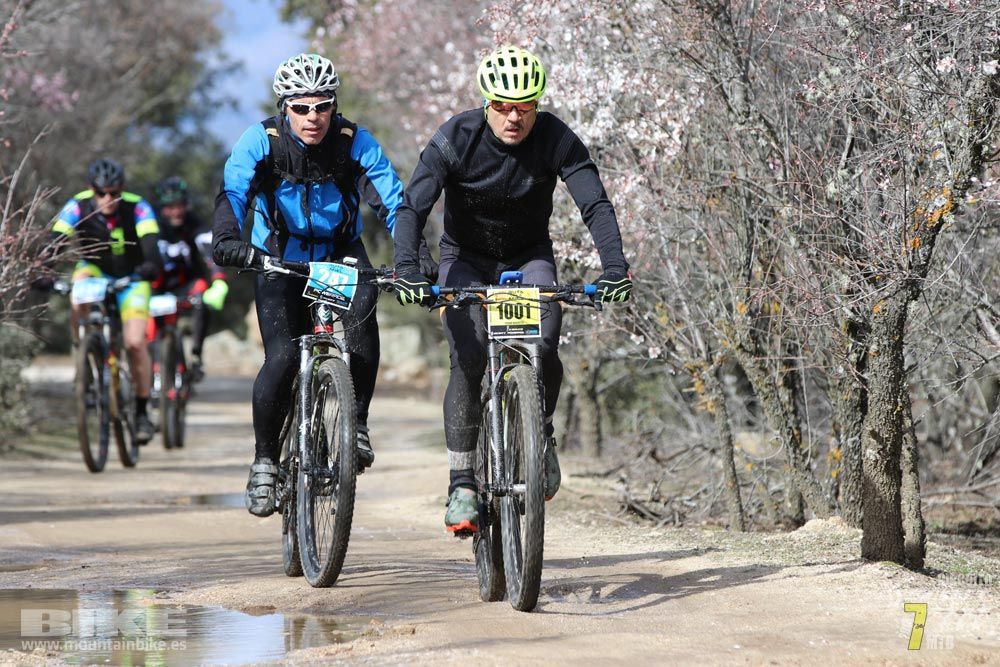 Ruta de la miel. Colmenarejo. Circuito Scott 7 Estrellas 2018. Galería 3
