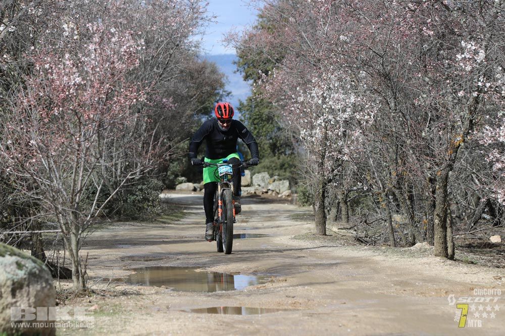 Ruta de la miel. Colmenarejo. Circuito Scott 7 Estrellas 2018. Galería 3