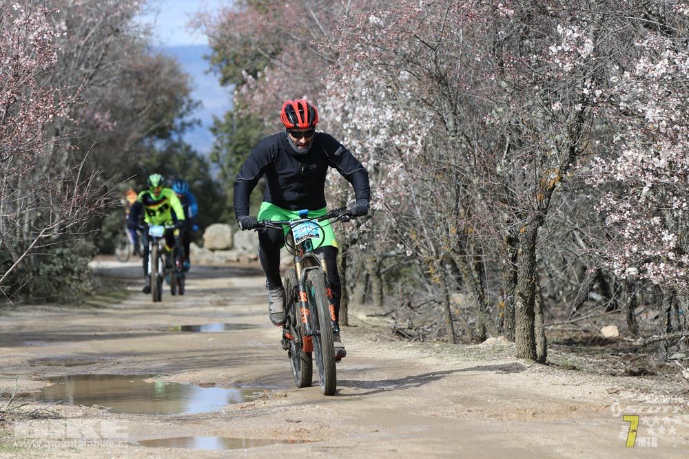 Ruta de la miel. Colmenarejo. Circuito Scott 7 Estrellas 2018. Galería 3