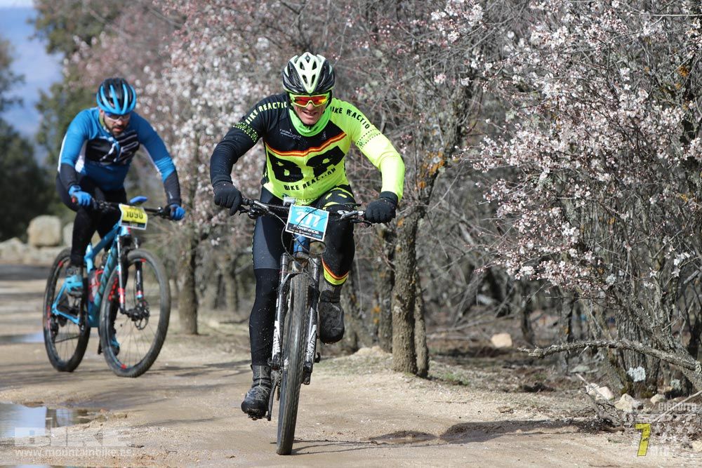 Ruta de la miel. Colmenarejo. Circuito Scott 7 Estrellas 2018. Galería 3