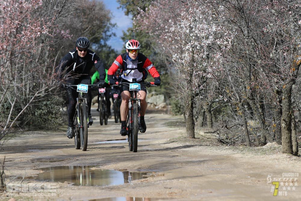 Ruta de la miel. Colmenarejo. Circuito Scott 7 Estrellas 2018. Galería 3