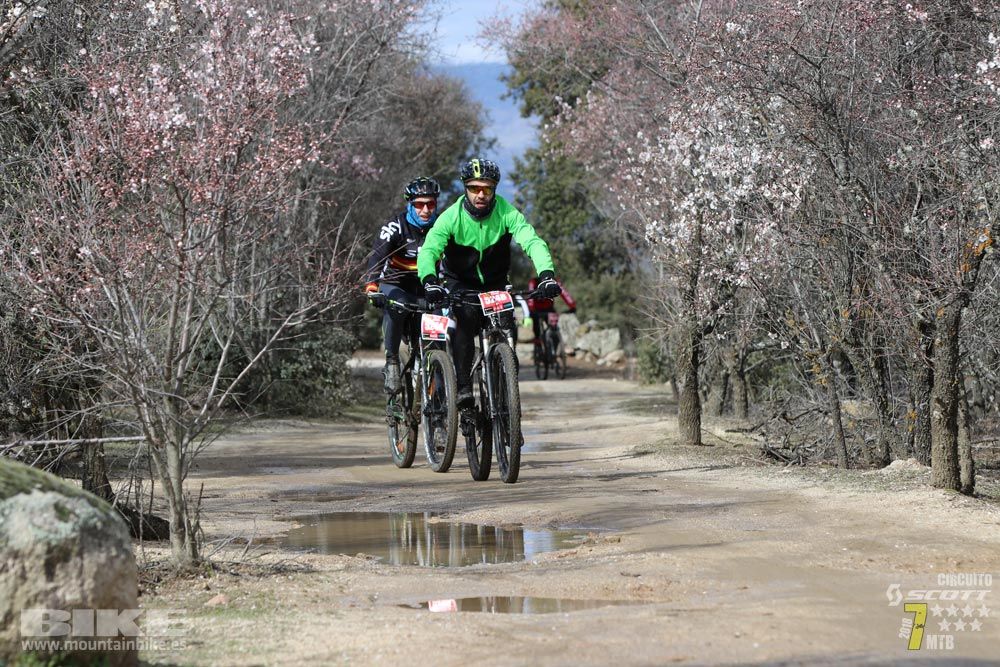 Ruta de la miel. Colmenarejo. Circuito Scott 7 Estrellas 2018. Galería 3