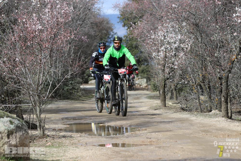 Ruta de la miel. Colmenarejo. Circuito Scott 7 Estrellas 2018. Galería 3