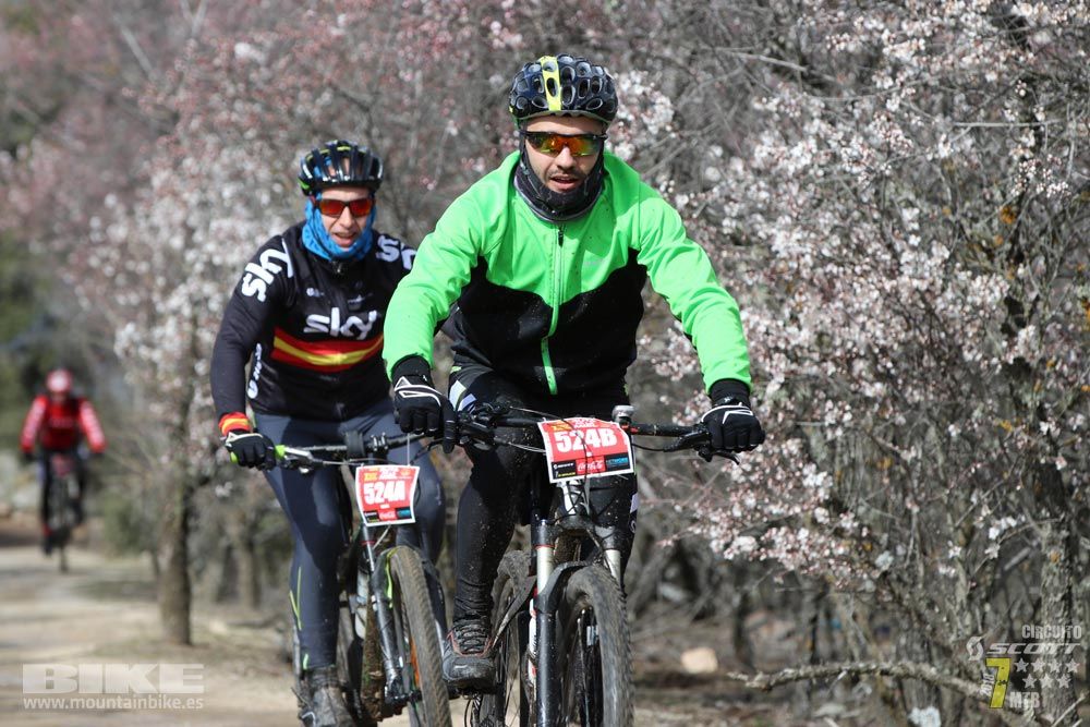 Ruta de la miel. Colmenarejo. Circuito Scott 7 Estrellas 2018. Galería 3