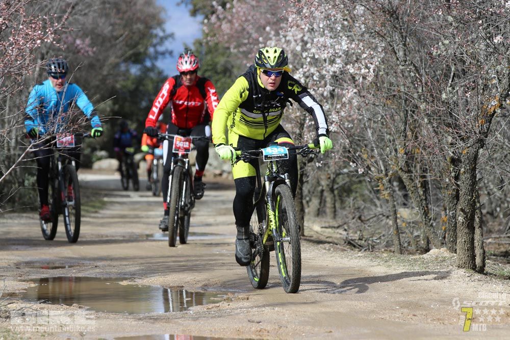 Ruta de la miel. Colmenarejo. Circuito Scott 7 Estrellas 2018. Galería 3
