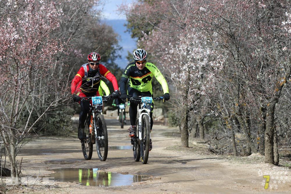 Ruta de la miel. Colmenarejo. Circuito Scott 7 Estrellas 2018. Galería 3