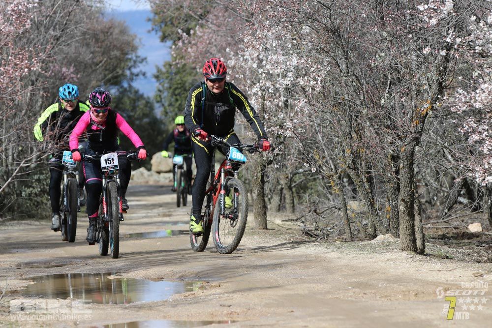 Ruta de la miel. Colmenarejo. Circuito Scott 7 Estrellas 2018. Galería 3