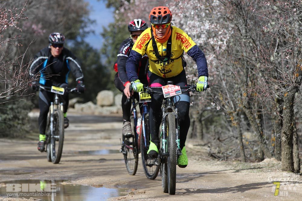 Ruta de la miel. Colmenarejo. Circuito Scott 7 Estrellas 2018. Galería 3