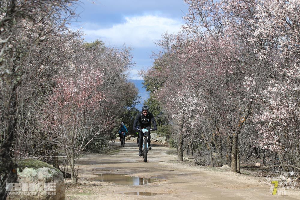 Ruta de la miel. Colmenarejo. Circuito Scott 7 Estrellas 2018. Galería 3