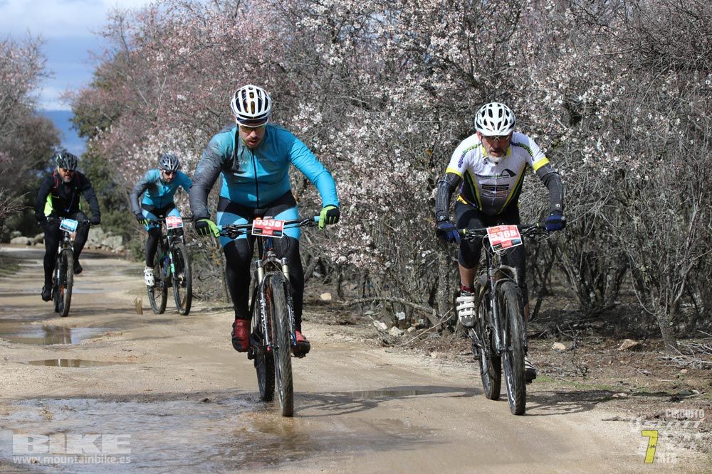 Ruta de la miel. Colmenarejo. Circuito Scott 7 Estrellas 2018. Galería 3