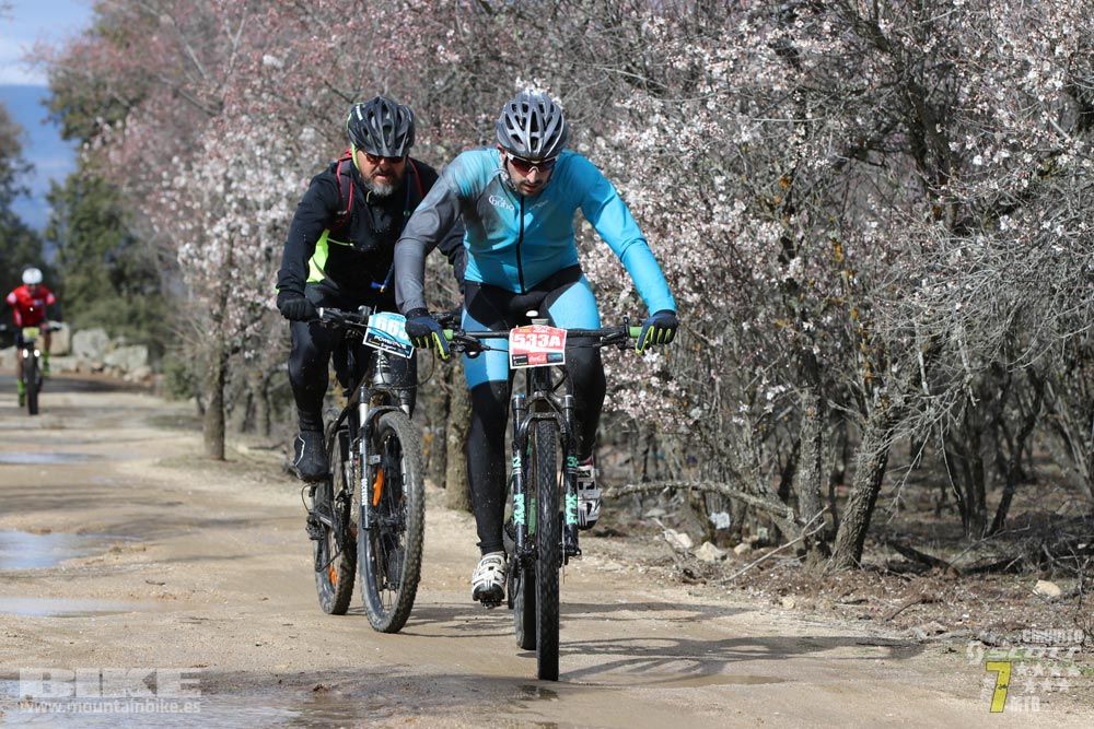 Ruta de la miel. Colmenarejo. Circuito Scott 7 Estrellas 2018. Galería 3