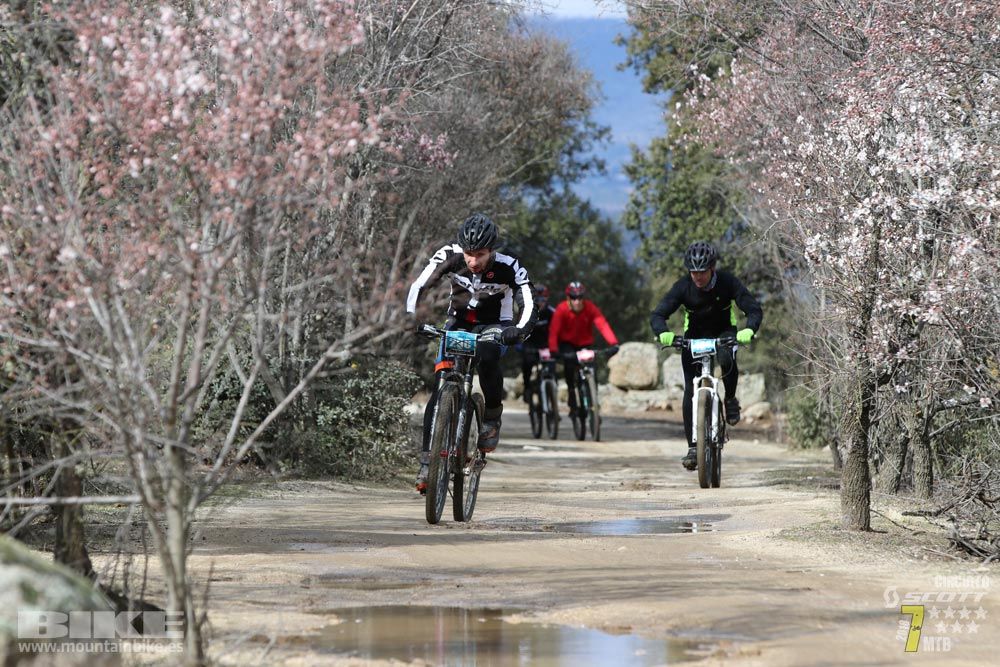 Ruta de la miel. Colmenarejo. Circuito Scott 7 Estrellas 2018. Galería 3