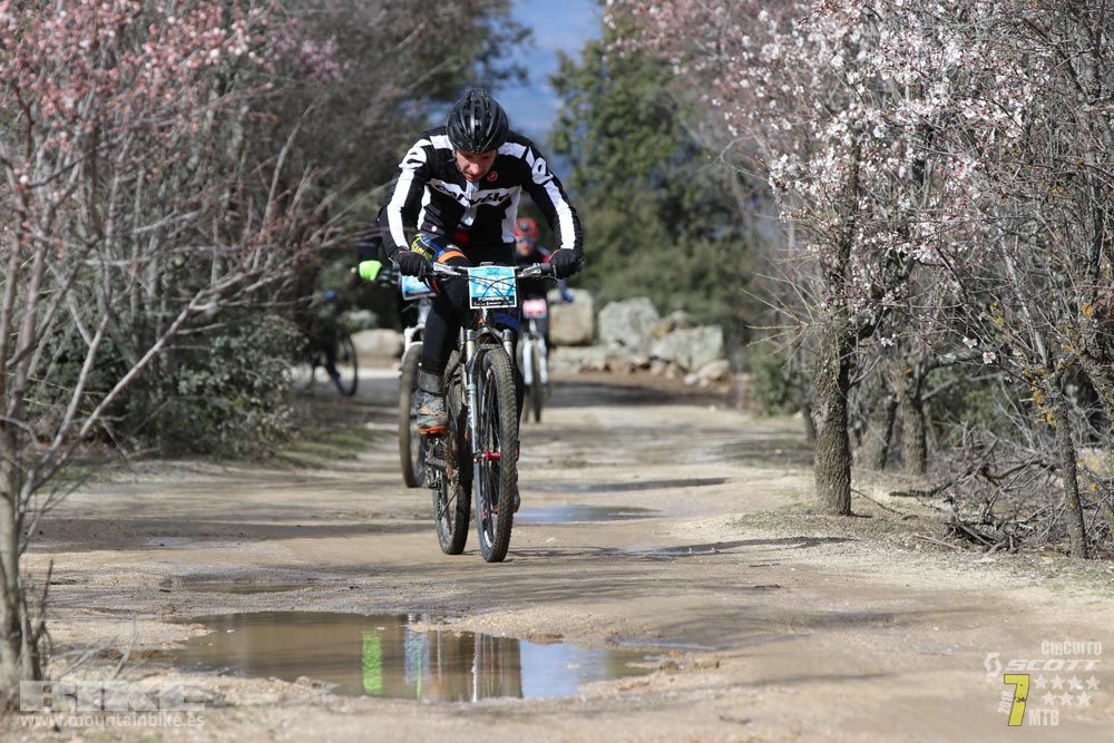 Ruta de la miel. Colmenarejo. Circuito Scott 7 Estrellas 2018. Galería 3