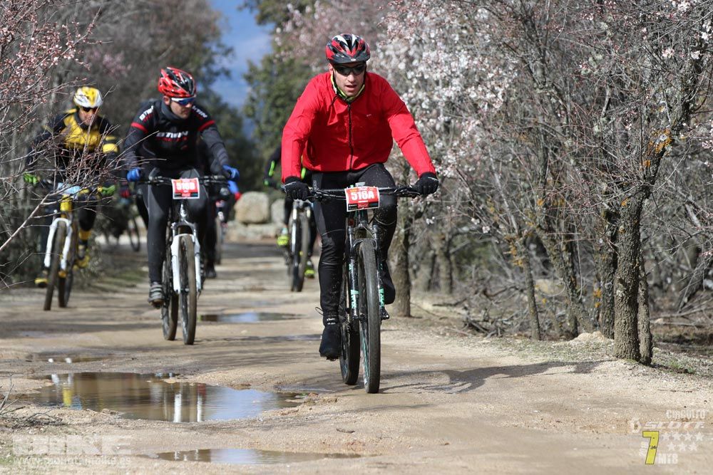 Ruta de la miel. Colmenarejo. Circuito Scott 7 Estrellas 2018. Galería 3