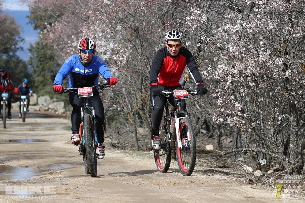 Ruta de la miel. Colmenarejo. Circuito Scott 7 Estrellas 2018. Galería 3