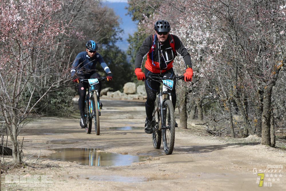 Ruta de la miel. Colmenarejo. Circuito Scott 7 Estrellas 2018. Galería 3