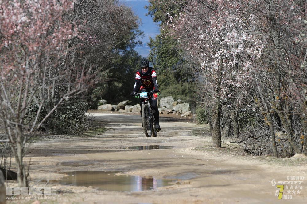 Ruta de la miel. Colmenarejo. Circuito Scott 7 Estrellas 2018. Galería 4