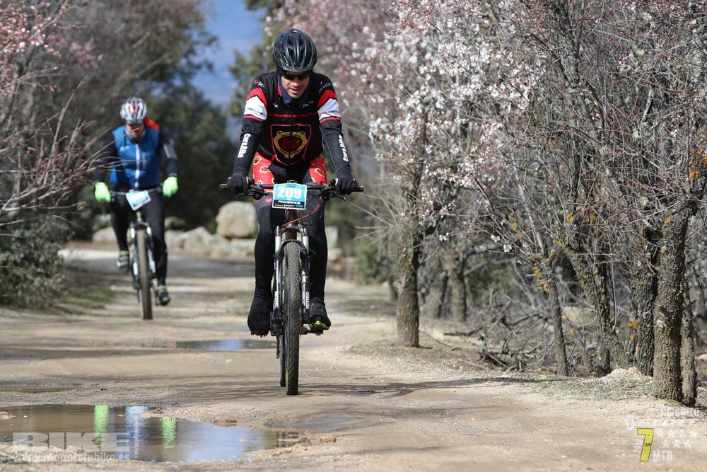 Ruta de la miel. Colmenarejo. Circuito Scott 7 Estrellas 2018. Galería 4