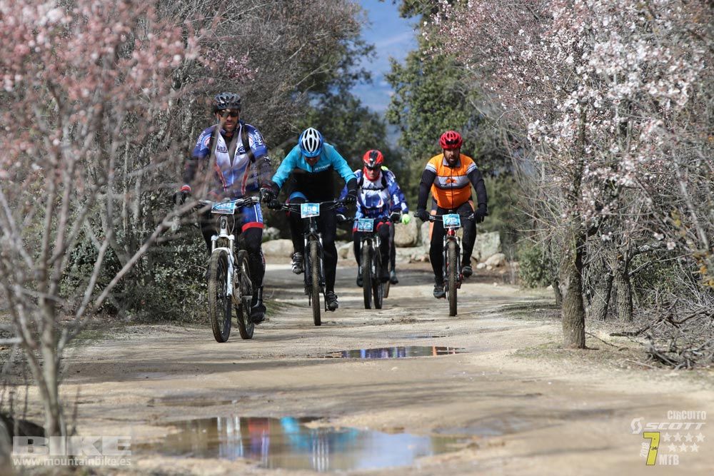 Ruta de la miel. Colmenarejo. Circuito Scott 7 Estrellas 2018. Galería 4