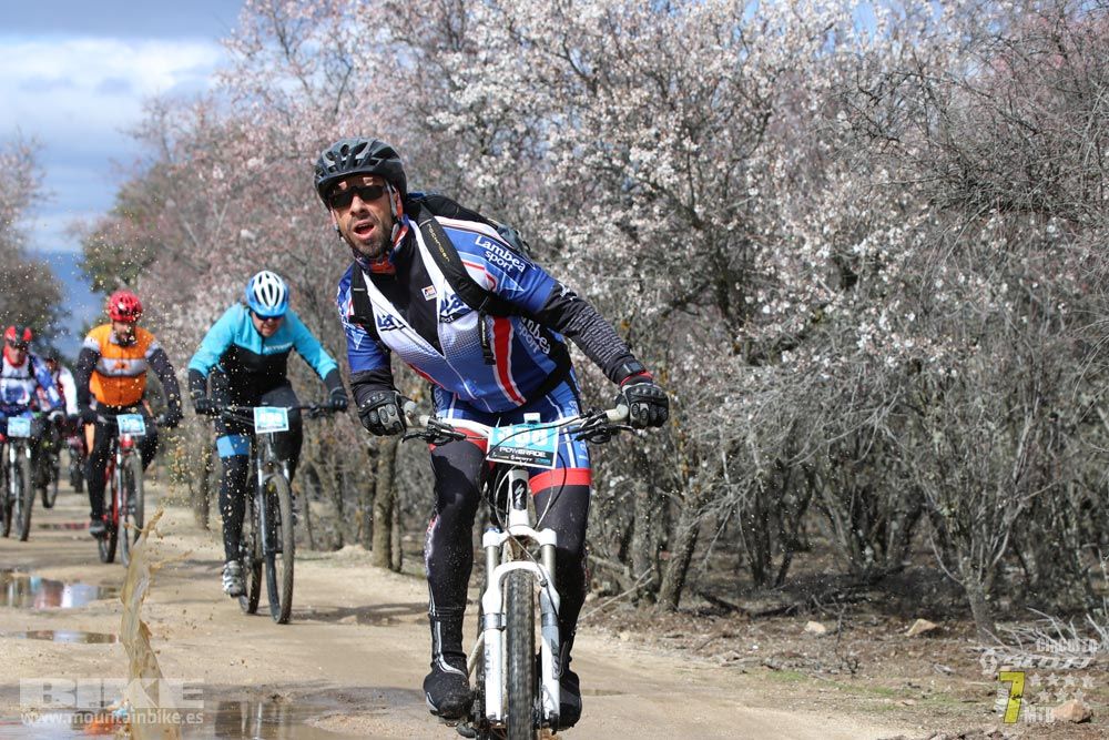 Ruta de la miel. Colmenarejo. Circuito Scott 7 Estrellas 2018. Galería 4