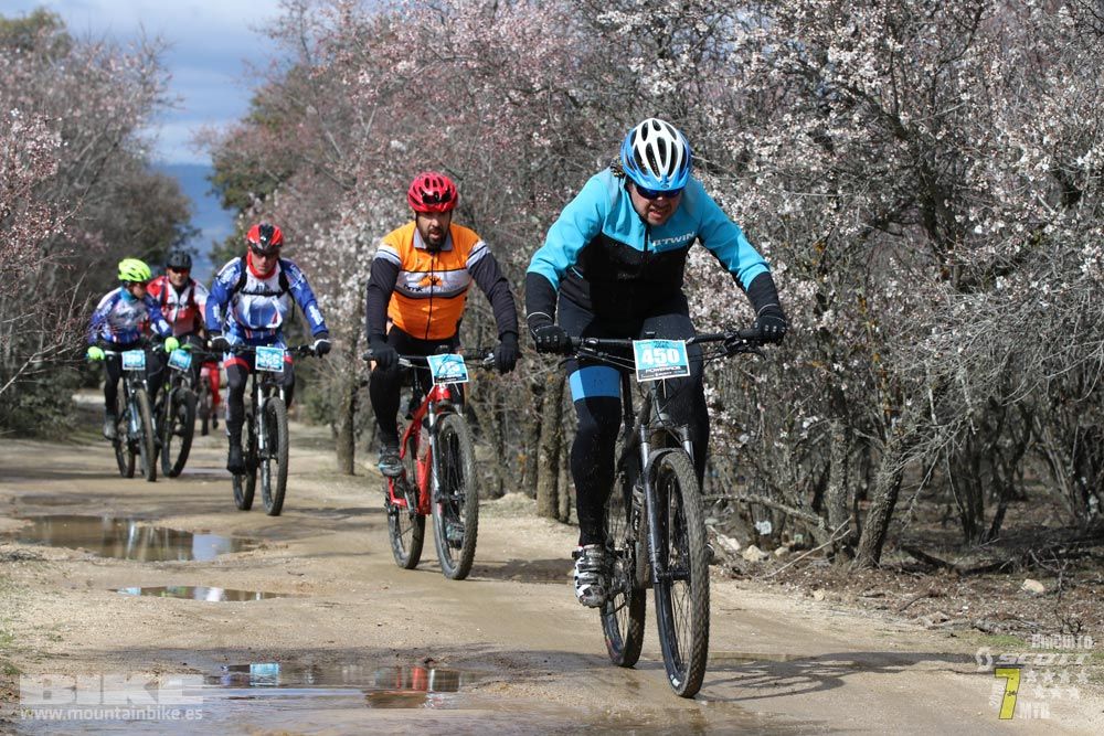 Ruta de la miel. Colmenarejo. Circuito Scott 7 Estrellas 2018. Galería 4