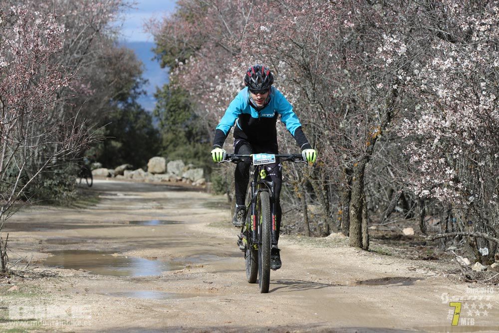 Ruta de la miel. Colmenarejo. Circuito Scott 7 Estrellas 2018. Galería 4